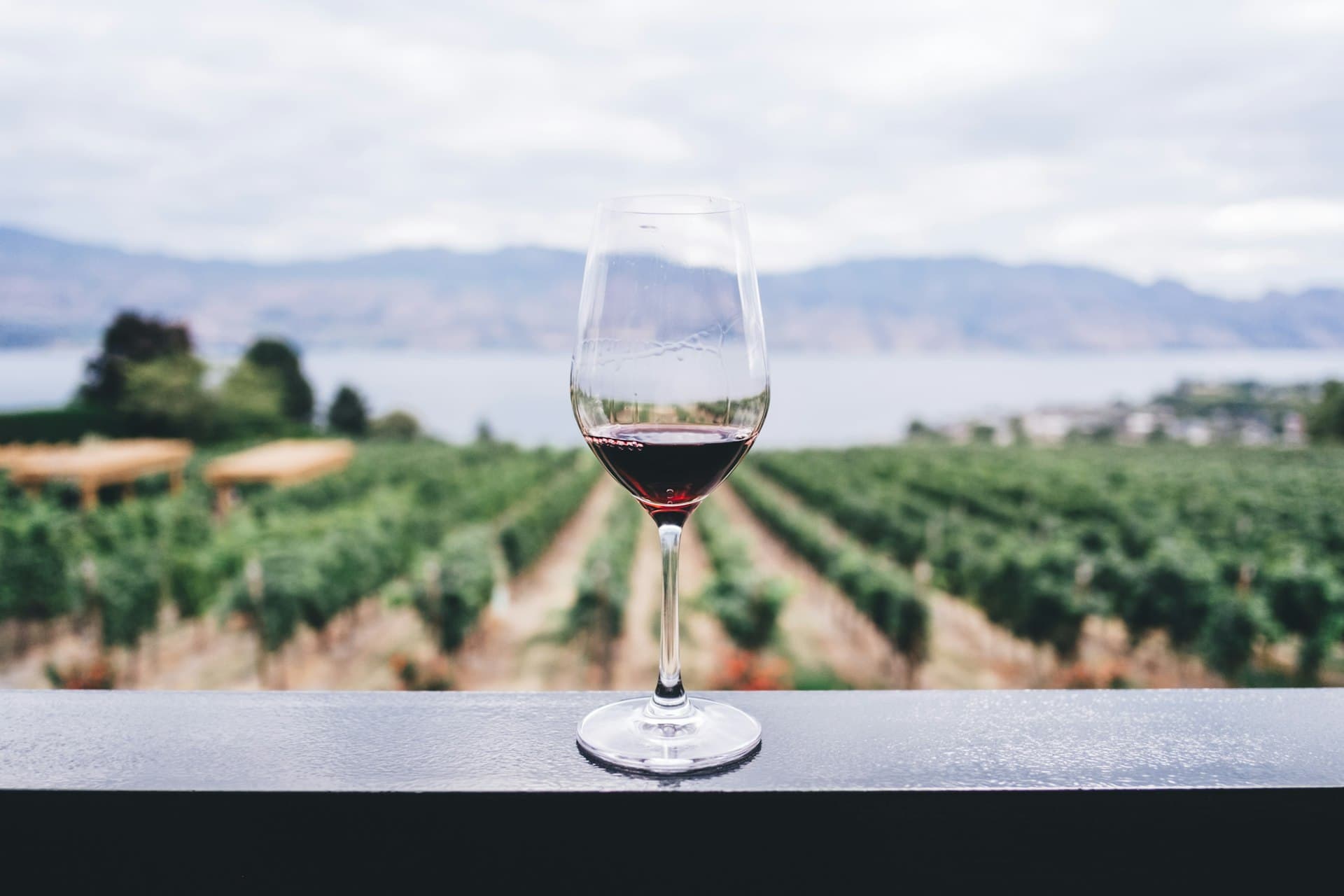 Wine on the table